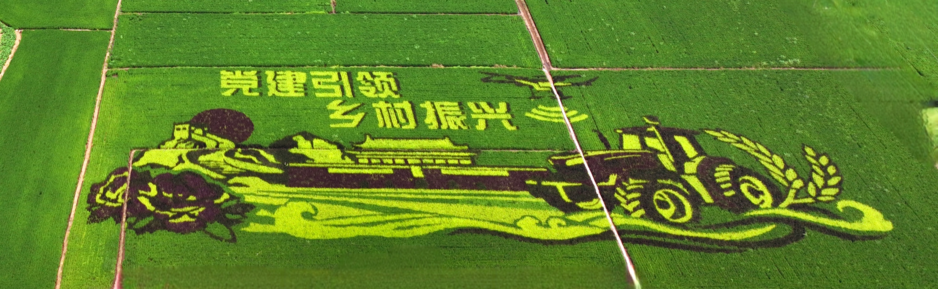 776deb6825f15ff603ec313130bbba2f 首页-suncitygroup太阳集团官方网站